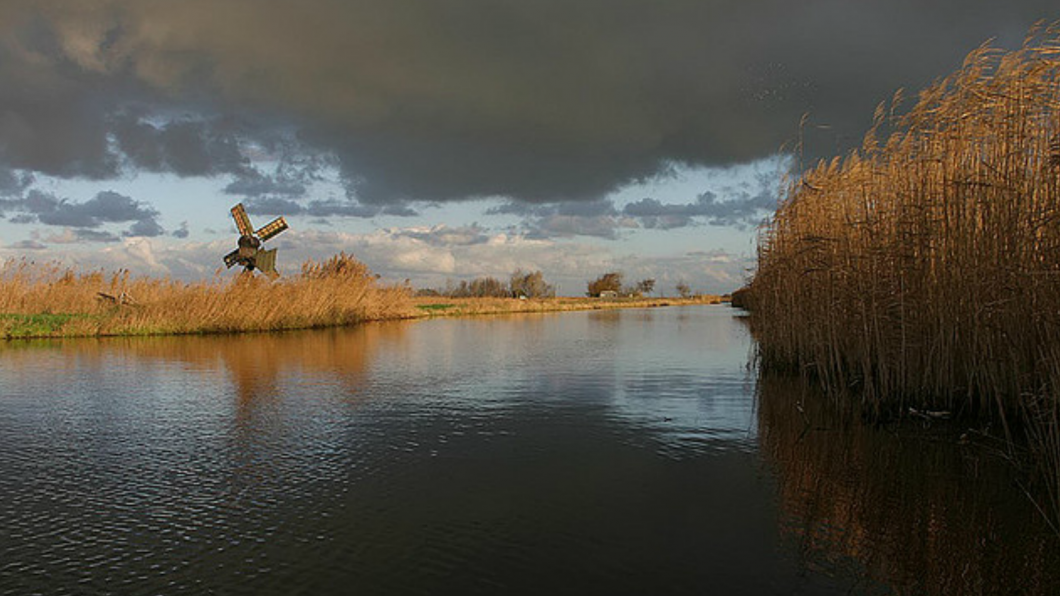 Natuur moet niet wijken voor meer asfalt natuur.png