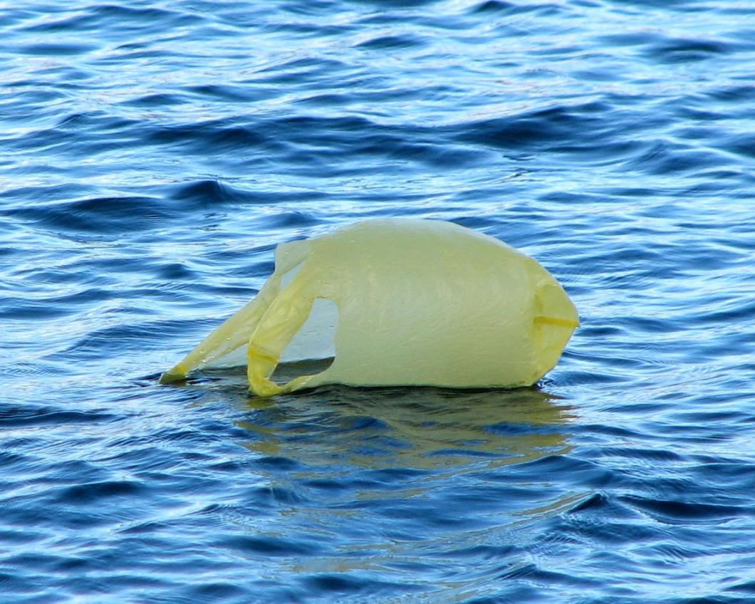 plastictasje.jpg
