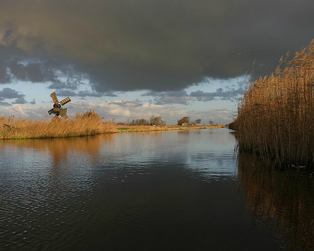 natuur.png
