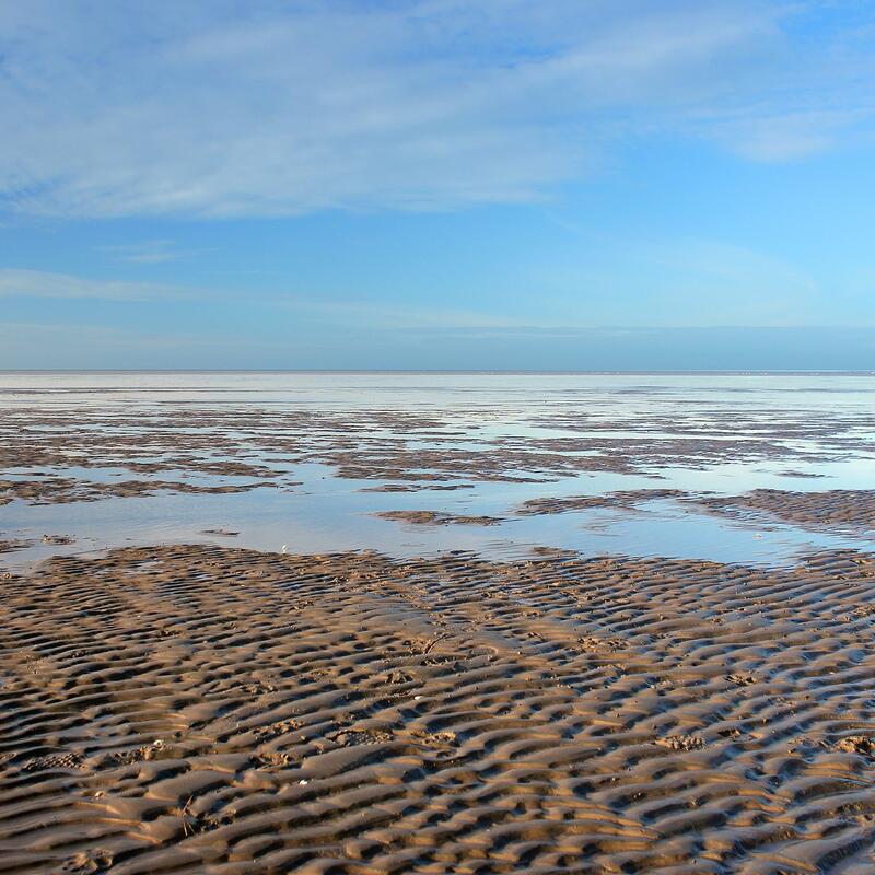 Stop boringen Waddenzee. Beeld: Pixabay. 