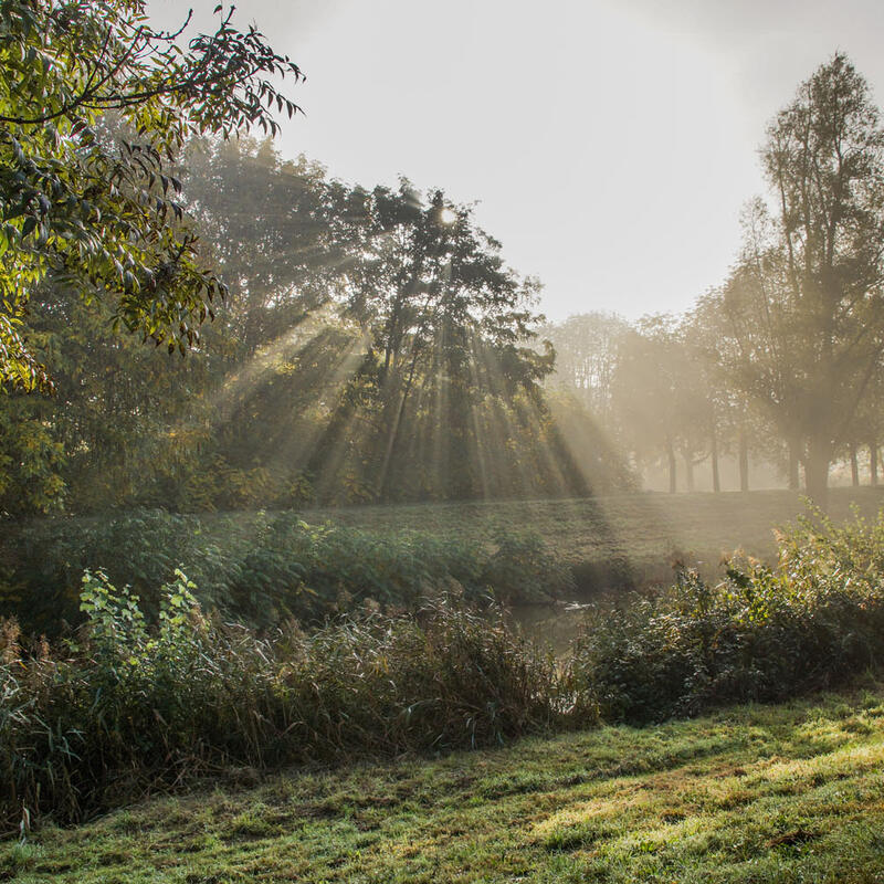 B1 Natuur.jpg