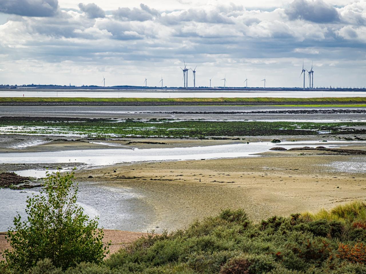 Natuurgebied Schelphoeck in Zeelan. Water en zandvlaktes met windmolens op de horizon.